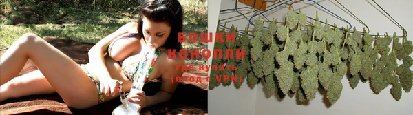 шишки Богородицк