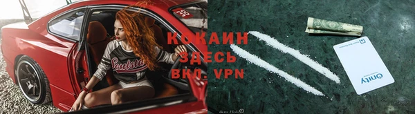 первитин Богданович