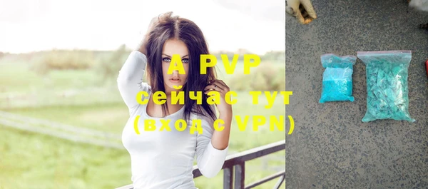 молекула духа Богородск