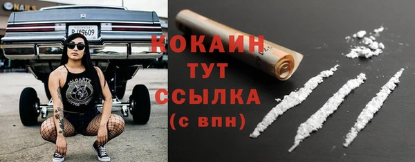 молекула духа Богородск