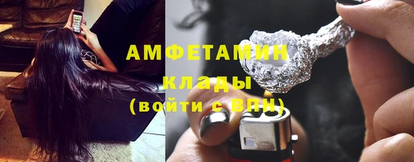молекула духа Богородск