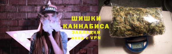 шишки Богородицк