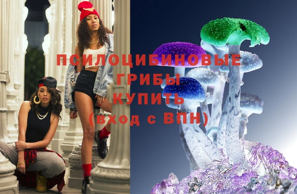 молекула духа Богородск