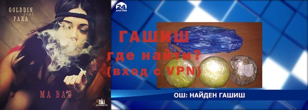 шишки Богородицк