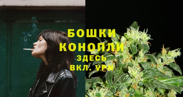 первитин Богданович