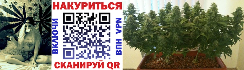 Канабис сатива  Мурманск 